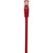 Renkforce RF-5176542 Câble réseau Rouge 2 m Cat6 S/FTP