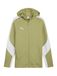 PUMA Sportsweatvest 'teamEVOSTRIPE' kiwi / wit