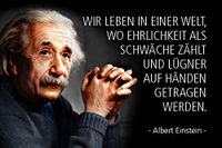 Schatzmix Einstein metalen bord decoratie 20x30 cm