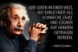 Schatzmix Einstein metalen bord decoratie 20x30 cm