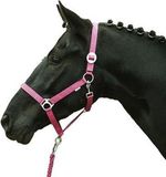 HKM Halster -Stars Economy Softice- neon roze Pony