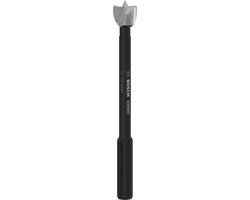 Bosch Accessoires Bosch EXPERT Houtvoorsnijder Ø 10 mm