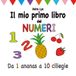 Il mio primo libro dei numeri: Da 1 ananas a 10 ciliegie
