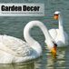 Elzusha-Zwaan: Ornements pour le jardin – Décoration durable pour l'extérieur – Cygnes flottants – Sculptures de jardin – Décoration murale extérieure – Design élégant – Décoration de jardin