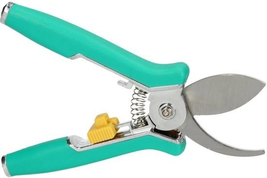 Ben Tools RVS snoeischaar voor bloemen en planten 21 cm - bloemenschaar