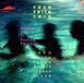 Another Fred Frith Trio - Another Day In Fucking Paradise (CD)