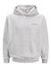JACK & JONES Jorislington Back Sweat Hood Sn