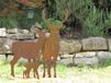 Edelrost cerf sur plaque, grand format