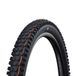 SCHWALBE Albert - TLR - ADDIX Ultra Soft - Gravity Pro - Radial - 29x2.50 - Black