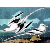 Kiub Puzzle Mouettes - 1000 pièces