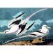 Kiub Puzzle Mouettes - 1000 pièces