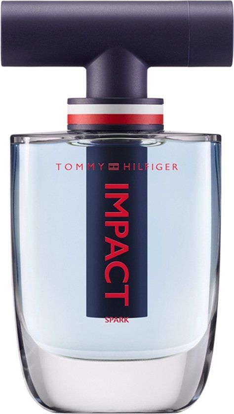 Tommy Hilfiger Eau De Toilette / 100 ml / Mannen