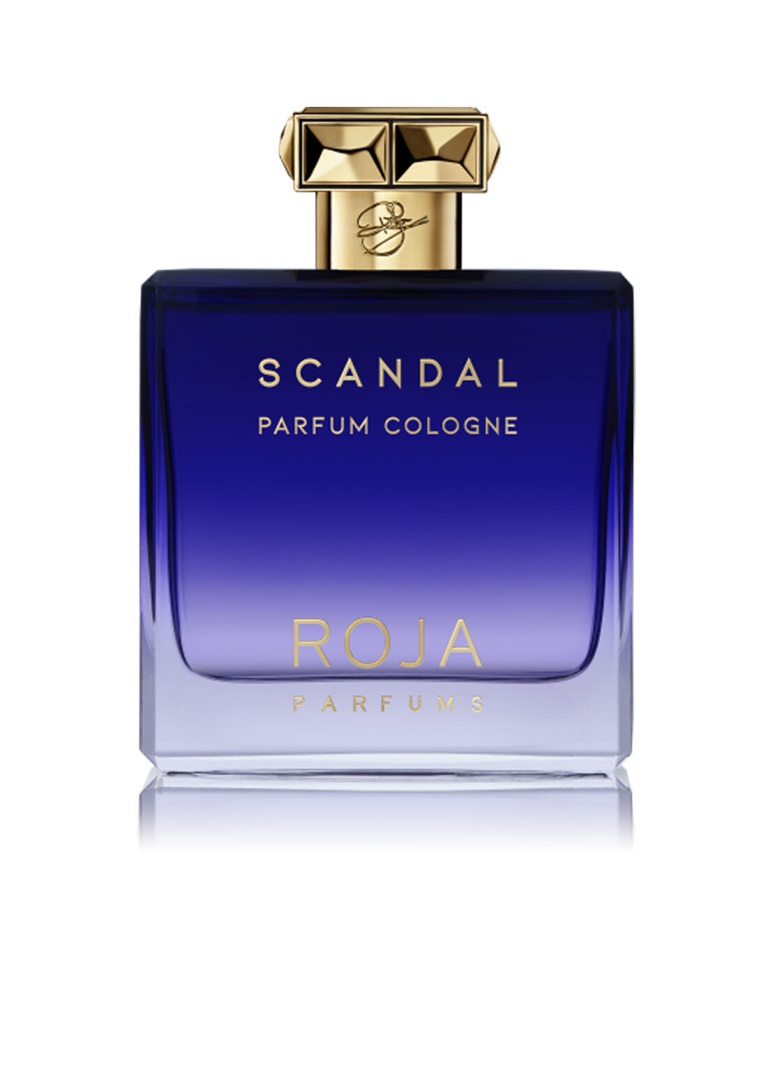 Roja Parfums Scandal Pour Homme Parfum Cologne 100 ml eau de cologne / heren