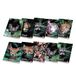Pigna Maxi-schriften A4 ANIMAL, 80 pagina's, lijnen groep 5, 10 stuks