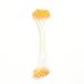 PME Stamens voor Suiker Bloemen Fijn Plain
