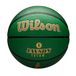 WILSON NBA Player Icon Basketbal voor buiten, Jayson Tatum, maat 7, 74,9 cm
