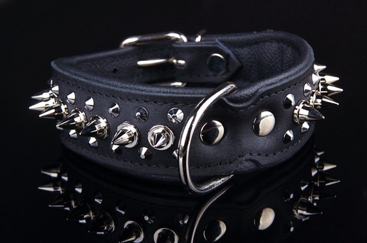 Dog's Companion Leren Halsband - met spikes - 32-41 cm x 40 mm - Zwart