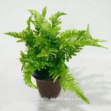 Warentuin Natuurlijk Decoratief Beeld - Kamerplant Varentje - Kunststof - Wit