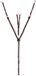QHP Luxe jachtkraag met decoratieve stiksels, bruin gebrand, Cob, Leer