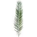 Dimhaut Feuille de Palmier Phoenix Artificielle en Tergal H 225 cm Vert