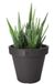 Pro Garden Bloempot - antraciet - rond - D20 cm - kunststof