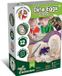 Science 4 You Dino Eggs Surprise – Opgraafset met 2 Dino Eieren – Experimenteerdoos Paleontologie – Vanaf 6 jaar