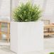 Prolenta Maison Exclusive - Bloempot voor buiten, wit, 70 x 40 x 68,5 cm, massief grenenhout