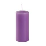 Risthò Stompkaarsen, lavendel, diameter 6 cm, hoogte 15 cm, 6 stuks