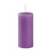 Risthò Stompkaarsen, lavendel, diameter 6 cm, hoogte 15 cm, 6 stuks