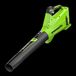 Greenworks Souffleur de feuilles 24V - 177 Km/h - Sans batterie ni chargeur - Bl24l01-01