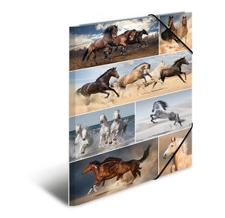 HERMA 19217 - Mappen - multi