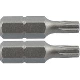 Labor schroefbit TX10x25mm (2 Stuks)
