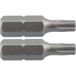 Labor schroefbit TX10x25mm (2 Stuks)