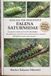 MANUALE Independently Published Manuale Per Principianti Sulla Falena Saturniidae