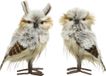 Decoris Deoris Uil foam pluche l12b13h23 cm brn a2 figuur
