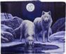 Nemesis Now Warriors of Winter Bifold portemonnee - Imitatieleer - Multicolours