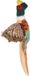 Flamingo Hondenspeelgoed PALOMA Fazant - Pluche - Meerkleurig - 38 x 45 cm