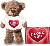 Bellatio Decorations Shoppartners Bv Knuffel teddybeer - met kaart A5 - i love you - 24 cm - pluche - met shirt