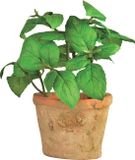 Esschert Design Kunstplant Basilicum in Terracotta Pot - 15 cm