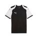 Puma Heren Teamfinal26 gebreide jersey truien (Pack van 1)