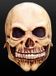 Vegaoo Masque de crâne pour adultes Halloween - Masque de déguisement - Taille unique