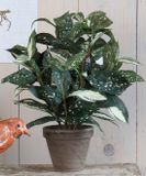 Mica Decorations Cordyline kunstplant - groen - H33 cm x D25 cm - grijze sierpot