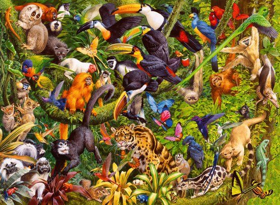 Ravensburger Bonte jungle Legpuzzel - 200 XXL stukjes