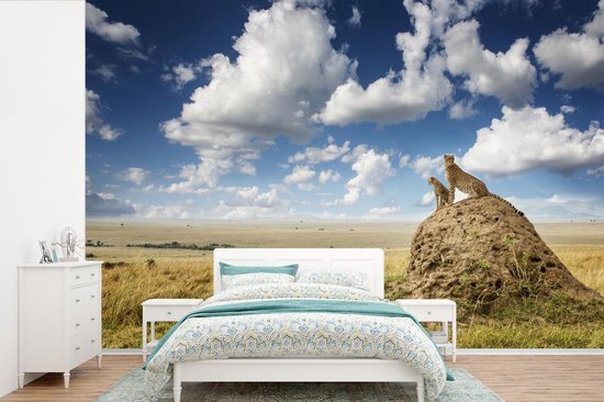 Nr1Wallpaper Behang - Fotobehang Cheeta's - Stenen - Gras - Breedte 525 cm x hoogte 350 cm