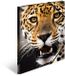 HERMA A4 mappen Leopard set, 3-delig, kinderhoekmappen van kunststof met dierenmotief, elastiek, binnenkleppen en binnenopdruk voor jongens en meisjes