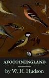 Afoot in England