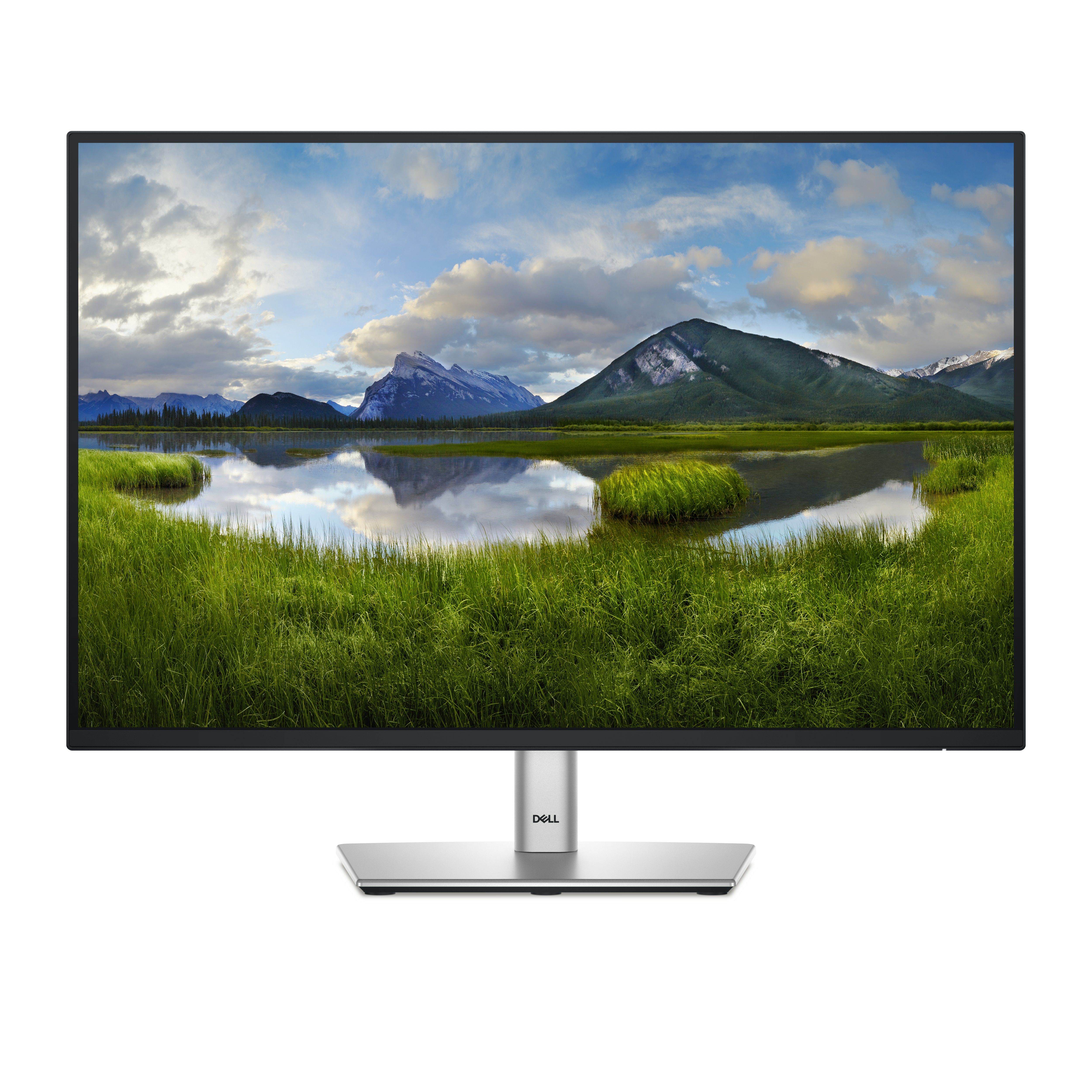 Dell P2425 24.1" WUXGA IPS Monitor - 100Hz