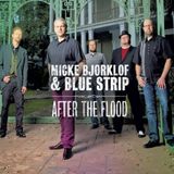 Suburban After The Flood