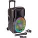 PARTY Light & Sound PARTY-12RGB Portable Party Speaker - 700W - Black
