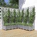 Maison Exclusive - Jardinière avec treillis, gris clair, 120 x 120 x 121,5 cm, plastique PP
